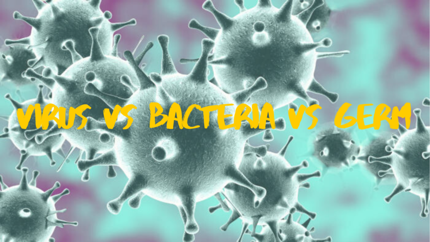 Can you tell the difference between viruses, bacteria, and germs?
