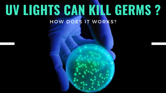 Can UV rays kill viruses and bacteria?