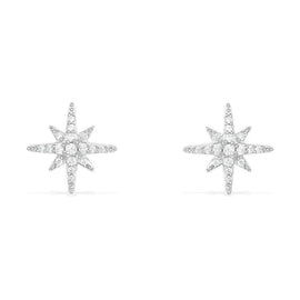 APM Météorites Stud Earrings - Silver #AE8419OX