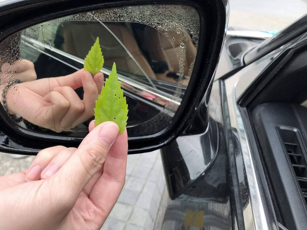Protective Rearview Mirror Rainproof Film (2pcs/package) - iMartCity clear transparent